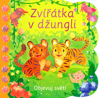 Obrázek produktu