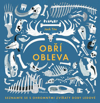 Obrázek produktu