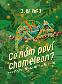 Obrázek produktu