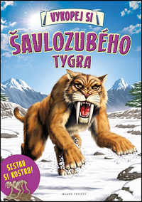 Obrázek produktu