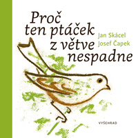 Obrázek produktu