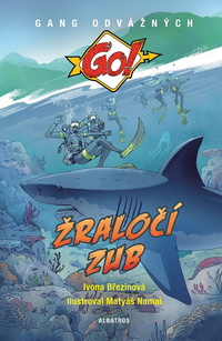 Obrázek produktu