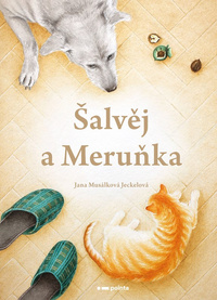 Obrázek produktu